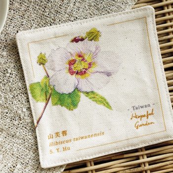 山芙蓉 Hibiscus taiwanensis