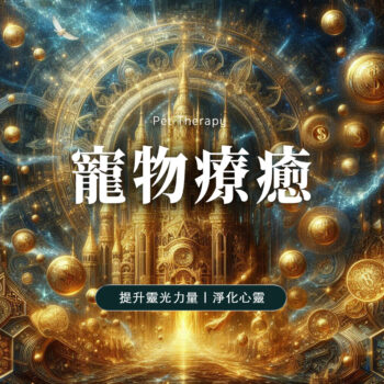 寵物服務