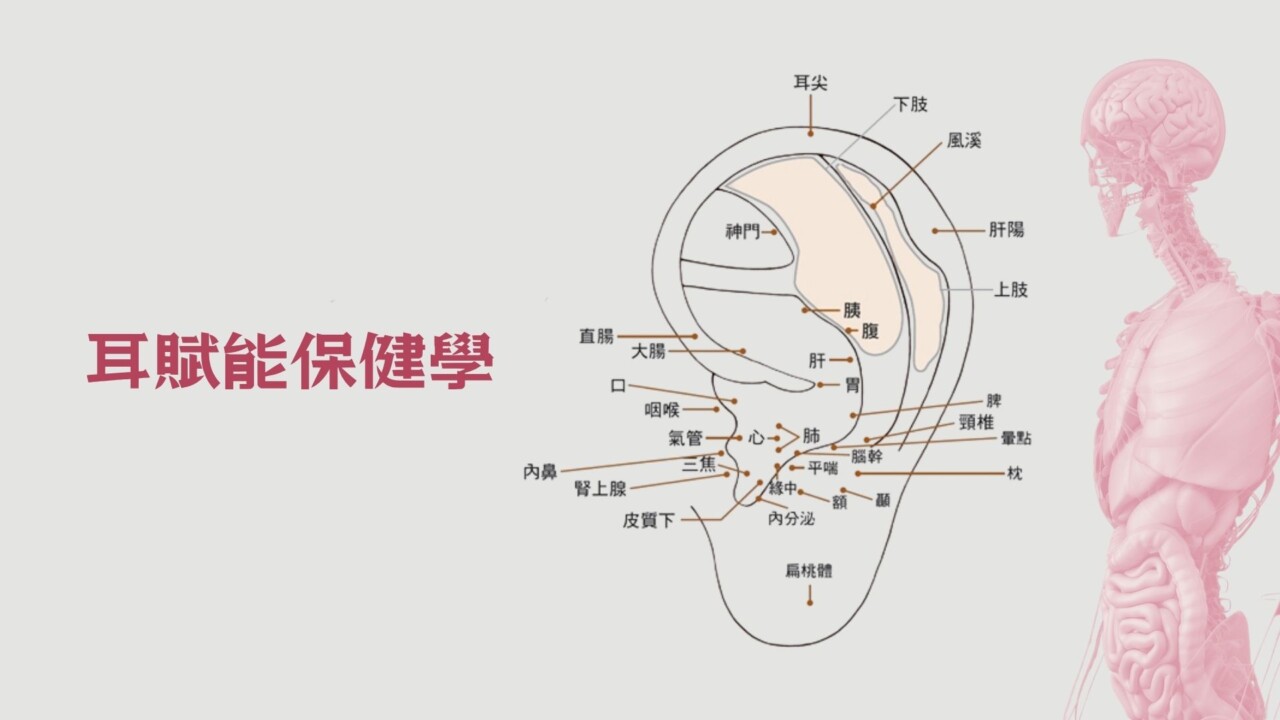 耳賦能保健學