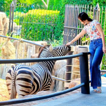Huahin Safari Adventure 華欣動物園