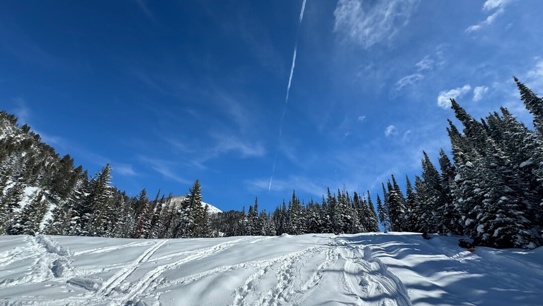 佐幌滑雪場十勝晴藍天下的粉雪雪道，Silky Snow 絲絨粉雪體驗