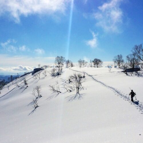 二世谷 Niseko 滑雪場，羊蹄山與粉雪雪道，世界級滑雪勝地