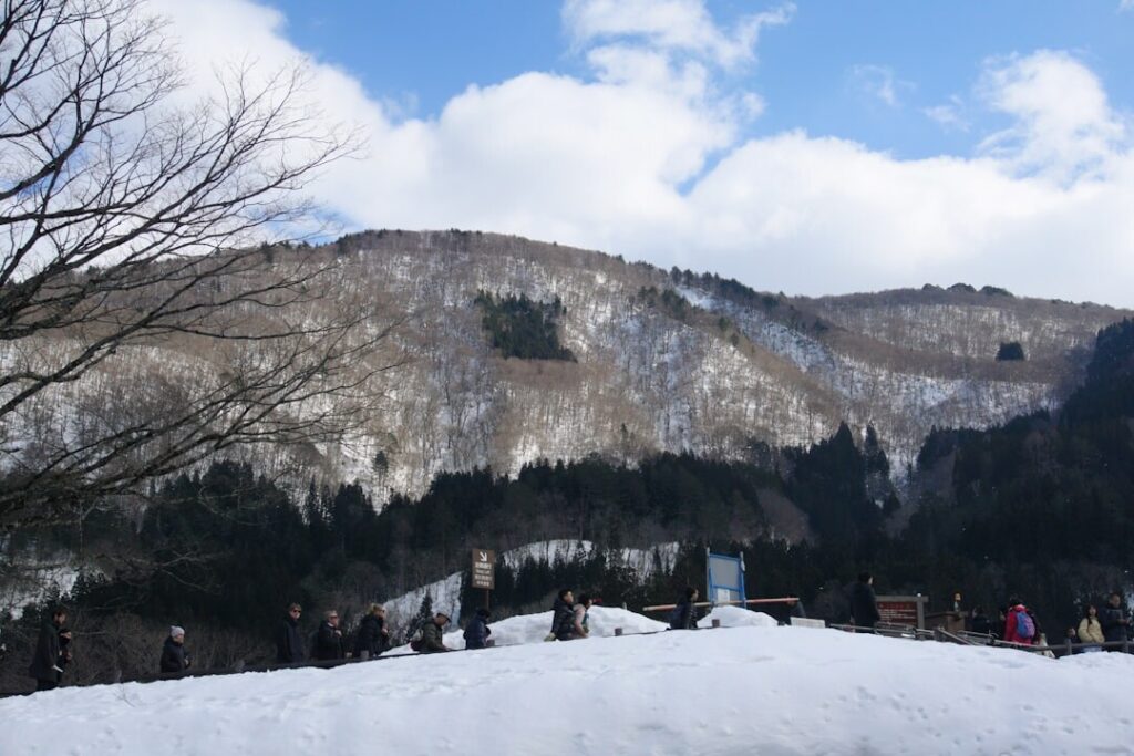 二世谷 Niseko 深雪粉雪滑雪，世界頂級乾粉雪體驗
