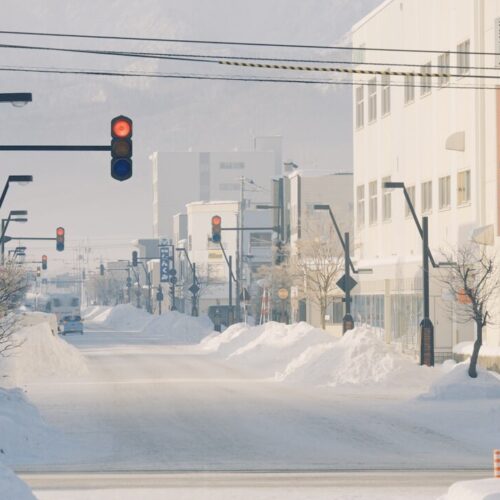 北海道粉雪雪場，適合新手的滑雪天堂