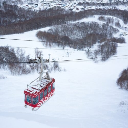 北海道冬季雪景，滑雪自由行出發前的美麗風景