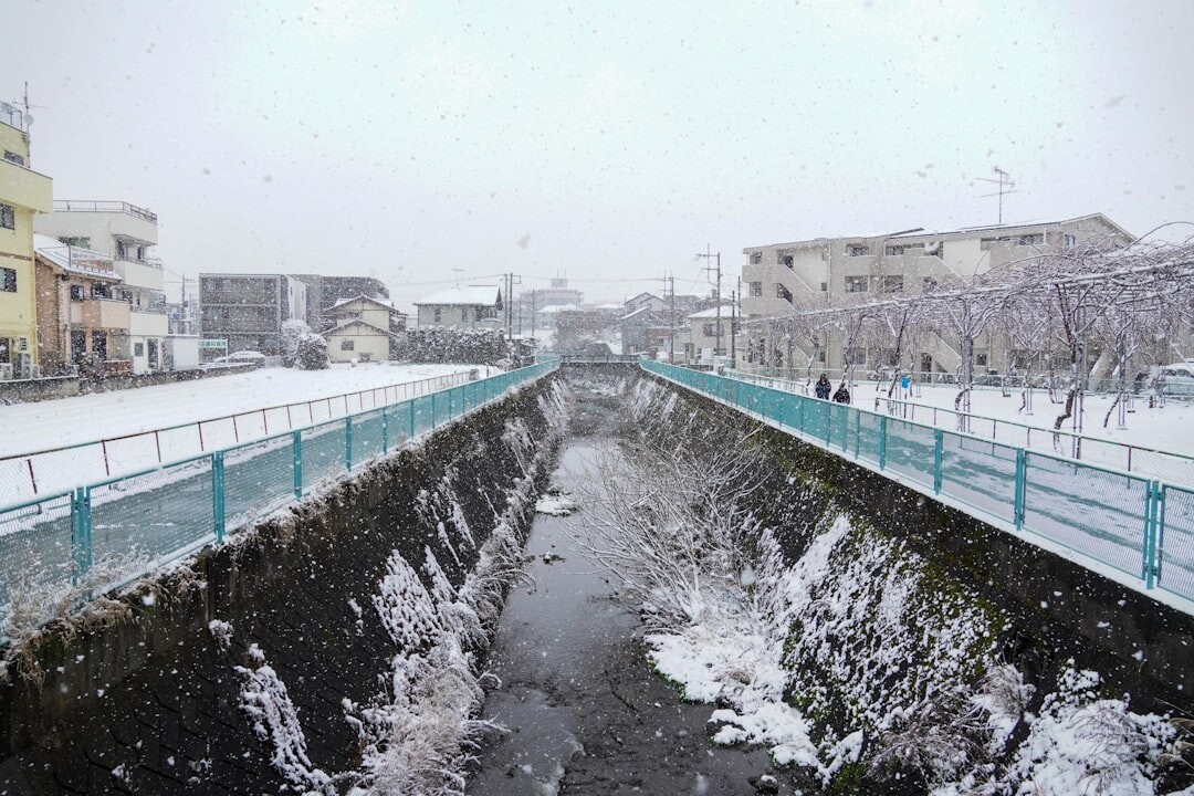 JR列車行駛在北海道雪原上，車窗外的冬季風景