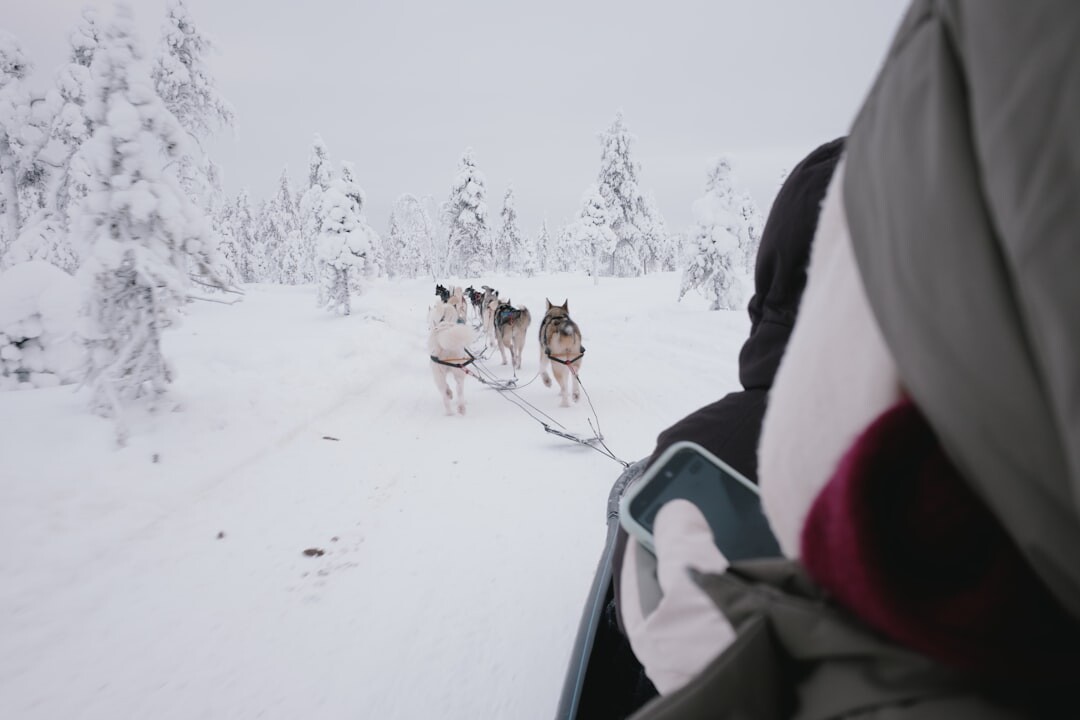 親子雪地玩耍,全家在雪地上開心遊戲