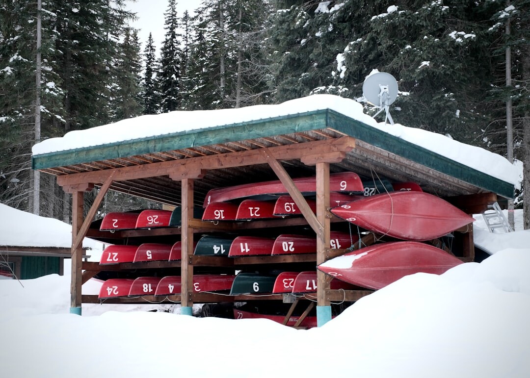 各種 Snowboard 雪板排列展示，不同板型和長度的選擇