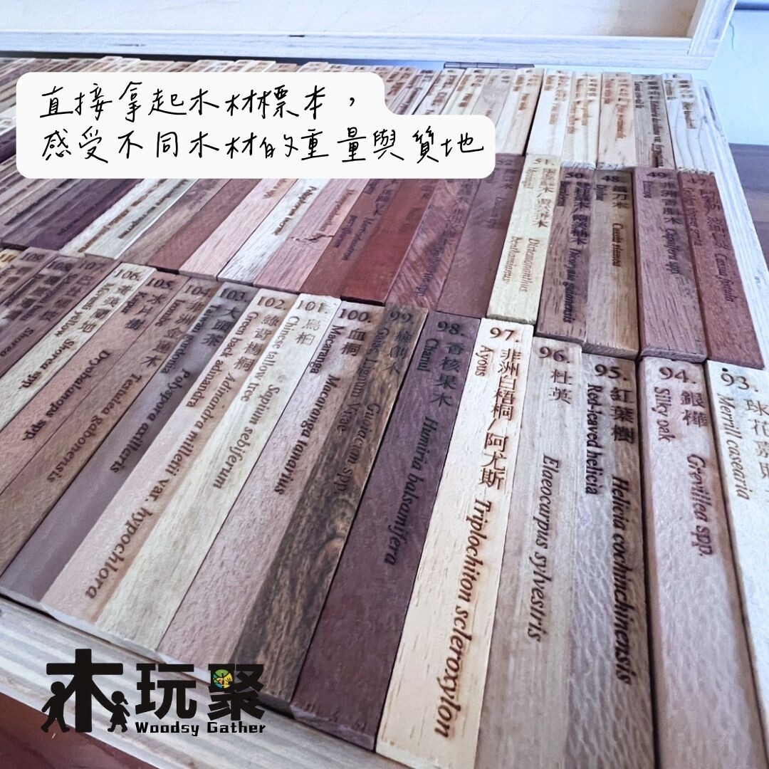 6a0fcf38d6005