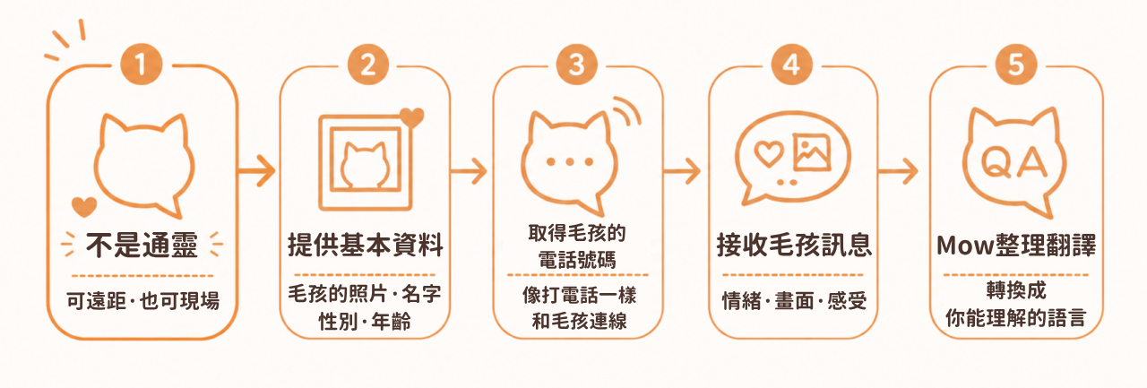 (點擊放大)